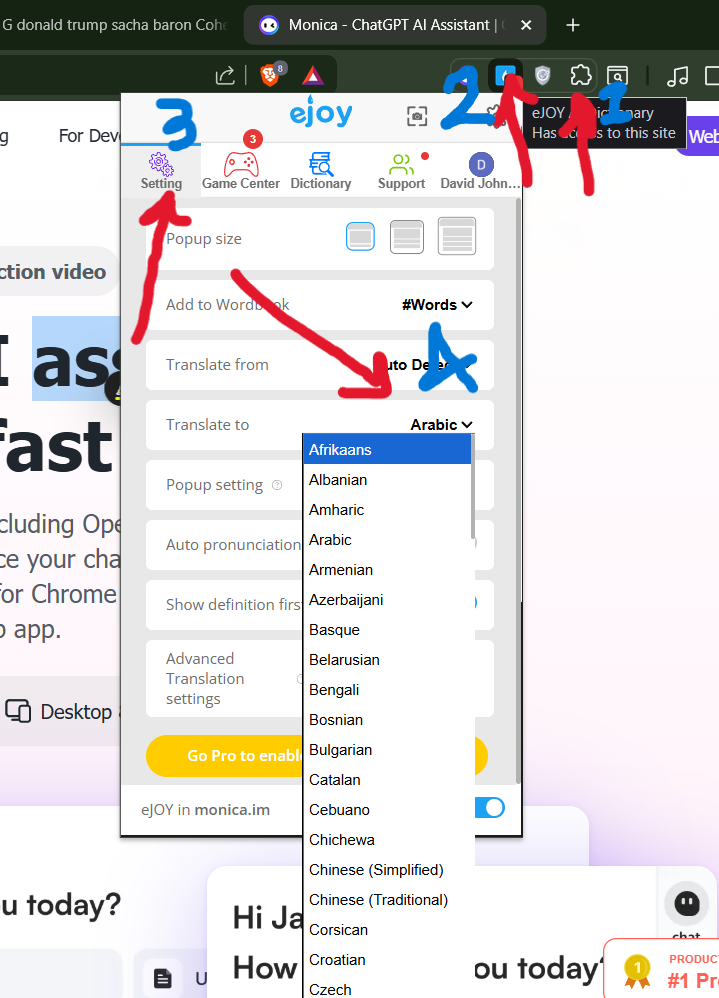 Dictionary settings and language